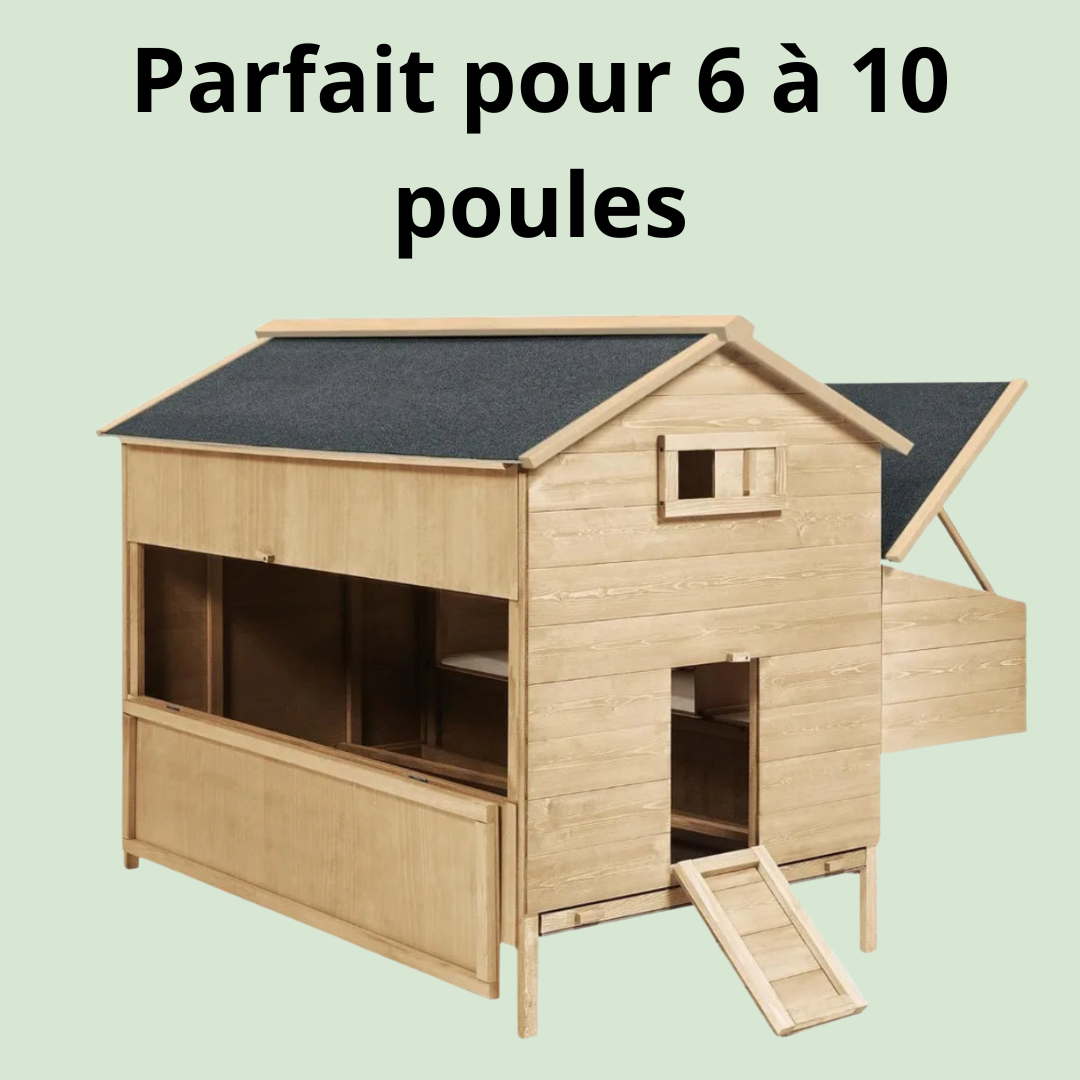Poulailler XXL 6–10 poules, pondoir 3 cases – 133×131×118 cm